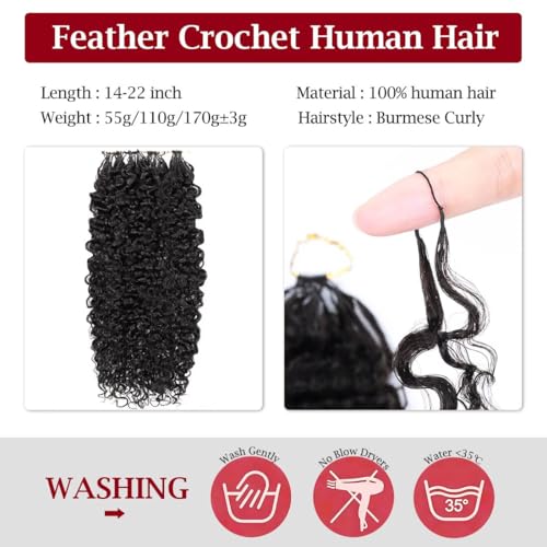 LOLly Hair 1B #/14 Inch Invisible Knots Feather Crochet Hair 110g Pre-Looped for Burmese Curly & Natural Style