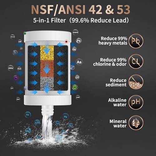 WINGSOL WS-FM001 5-in-1 Stainless Steel Faucet Water Filter for Sink, Lead Reduction, 250G, Rotating Tap Purifier