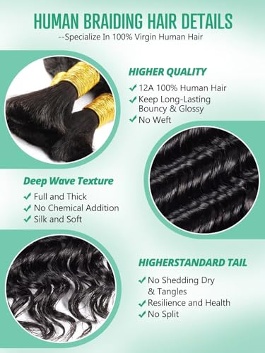 Deep Wave Human Braiding Hair - 160g 14 Inch Bulk Virgin Brazilian Curl Extensions - Variation P4/30