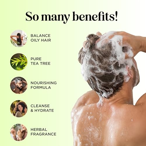 Maple Holistics Tea Tree Oil Shampoo & Conditioner Set 12 Fl Oz Pack of 2 - Sulfate-Free Clarifying Hair Care for Oily & Dry Scalp