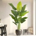 Artificial Bird of Paradise Tree 6.5Ft Tall Faux Tropical Plant with White Pot - Indoor Decor