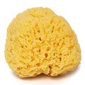 Sea Sponge for Bathing 5 inch-Softly Rough but Not Skin Irritating ? Yellow, Natural Bath Sponge-Renewable Resource ? Natural Sponge for Body and Shower-Lathers & Washes Really Well