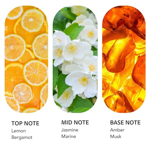 Luxury Ritz Carlton Diffuser Oil 500ml - Hotel-Grade Aromatherapy Fragrance, Pack of 1