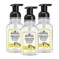 J.R. Watkins Foaming Hand Soap with Pump Dispenser, Moisturizing Foam Hand Wash, Alcohol-Free, Cruelty-Free, Citron, 9 fl oz, 3 Pack