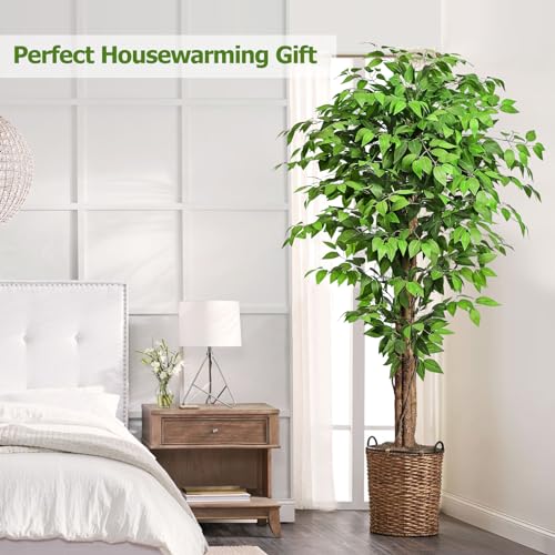 Keeplush 6.2ft Artificial Ficus Tree with 3 Curved Trunks, Lush Faux Indoor Plant