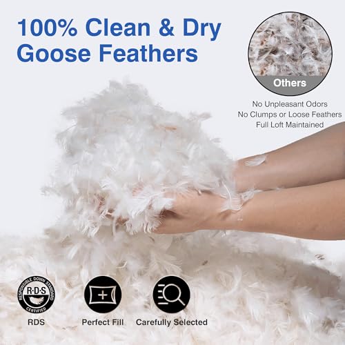 Queen Size Feather Pillow Set of 2 - Hotel Down Support & Softness
