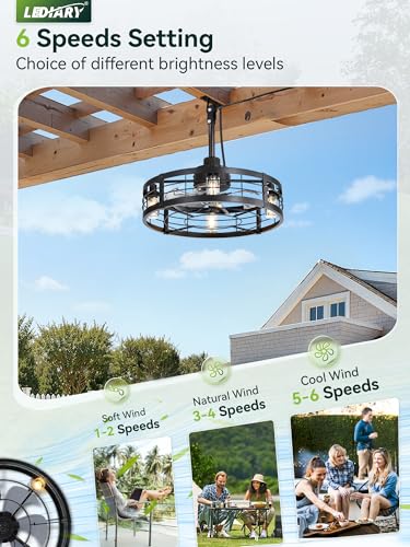 Outdoor Ceiling Fan with Light Black 22-Inch Waterproof IP65 Gazebo Fan