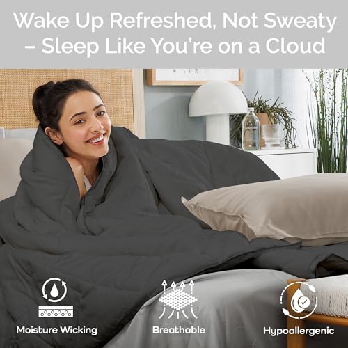 Bamtek Charcoal Queen Size Bamboo Viscose Comforter - Down Alternative Duvet Insert