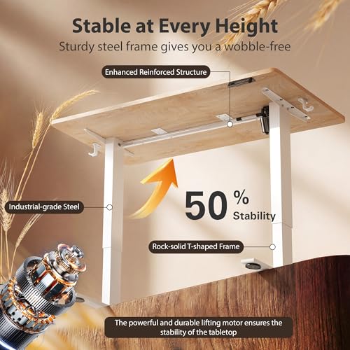 Cubiker Maple 48x24 Inch Electric Standing Desk - Adjustable Home Office Workstation