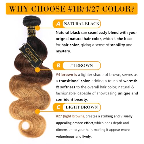 Brazilian Human Hair Extensions - Ombre Body Wave Bundle 10 Inches #1b/4/27