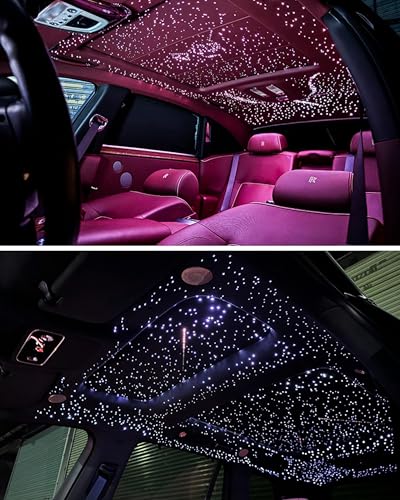 DIICRIN Twinkle & Meteor Starlight Headliner Kit - 750pcs Fiber Optic Star Ceiling