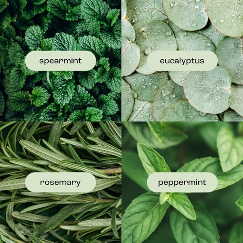 Natural Inspirations Eucalyptus Rosemary Mint Ultra-Hydrating Hand Cr?me 3.4oz