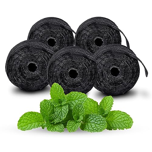 Expandable Charcoal Dental Floss Refill - Mint, 820ft, Eco-Friendly, Xlent Variation of Mint / Refill - 820 Feet