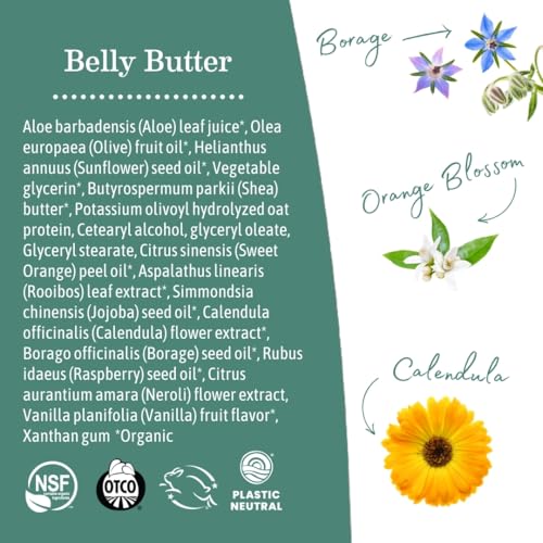 Earth Mama Belly Butter - 8 Fl Oz - Organic Pregnancy & Stretch Mark Moisturizer, Pack of 1