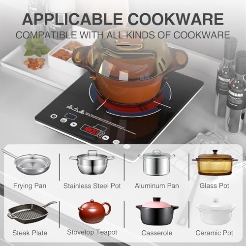 Portable Electric Cooktop 110V Single Burner with LED Touch Control 9 Power Levels