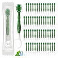 Disposable Mini Travel Toothbrush with Pre-Pasted Toothpaste - Green, 60 Count