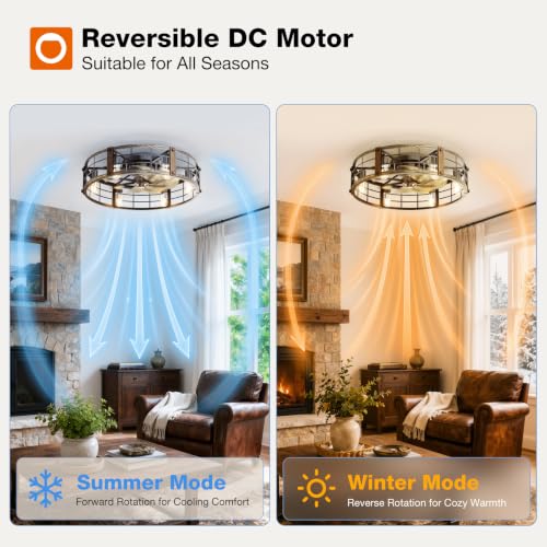addlon 24-Inch Caged Ceiling Fan with Lights and Remote - Black Brushed Gold Variation