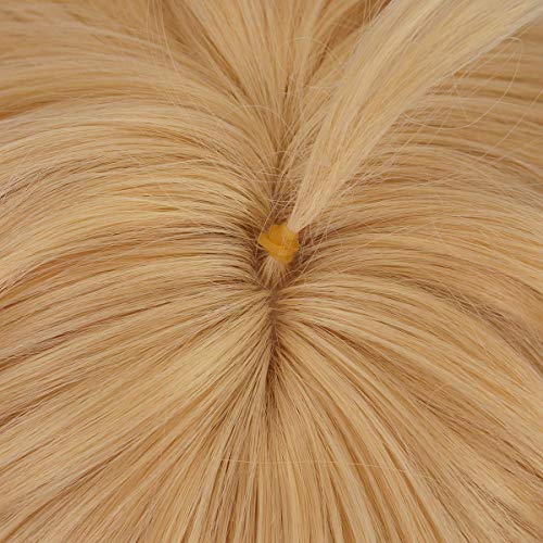 Heat-Resistant Cosplay Wig for Aether and Characters with 2 Wig Caps - Halloween & Theme Parties