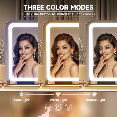 Hasipu Lighted Vanity Mirror with Lights - 22.8 x 18 Inches Dimmable LED Makeup Mirror, Touch Control, Gold