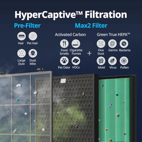 Airmega 300/300S Replacement Filter Set with HEPA and Activated Carbon - Filter