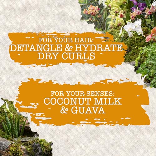 Maui Moisture Nourish & Moisture + Coconut Milk Conditioner to Hydrate and Detangle Curly Hair, Lightweight Daily Moisturizing Conditioner, Vegan, Silicone & Paraben-Free, 13 fl oz