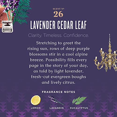 Lavender Cedar Leaf Hand Soap Refill – Aloe Vera, Olive Oil & Essential Oils, 32 Oz – Pack of 1