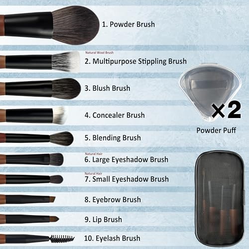 Black Travel Makeup Brush Set with Case - 10 Pcs Mini Brushes for Face & Eyes