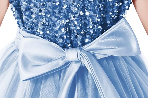 Baby Blue Flower Girl Dress with Sequins Tulle Puffy Skirt - Floor Length Wedding & Party Gown