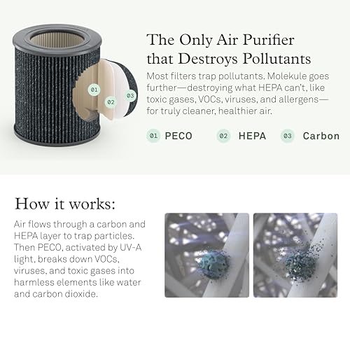 Mini/Mini+ PECO-HEPA Tri-Power Filter Replacement for Air Purifier - Medium Pack of 1