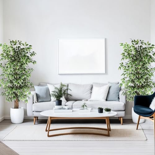 6 FT Artificial Ficus Tree with Real Wood Trunks - 2 Pack Indoor Decor Variation of This Listing