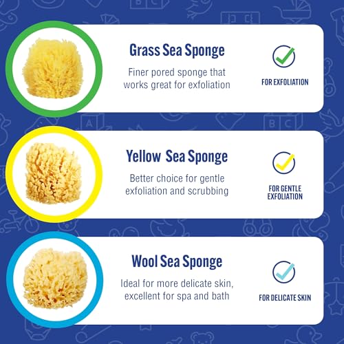 Baby Buddy Natural Yellow Sea Sponge, Newborn Bath Time Essential, Soft and Gentle for Tender Skin, Hypoallergenic and Biodegradable, 2 Pack