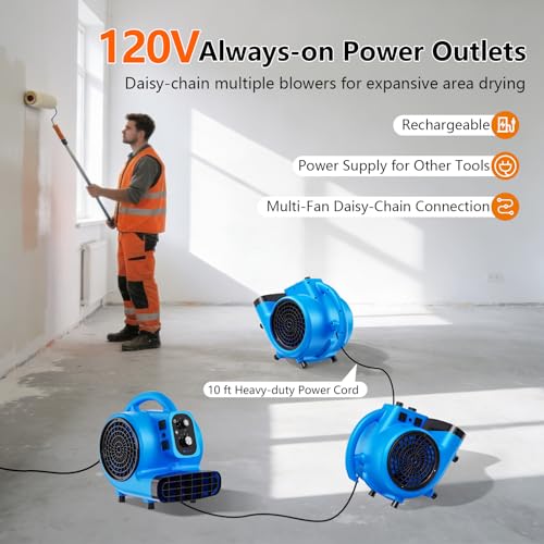Zynovate Blue Portable Air Mover 1/4 HP 1000 CFM Floor & Carpet Dryer Fan