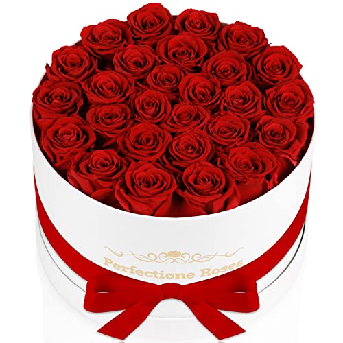 Perfectione 27 Red Roses Box - Mother's Day Gift with 27 Preserved Roses