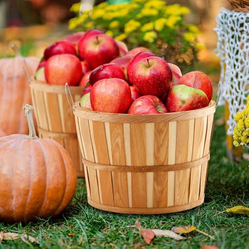 Marsui 6-Piece Jumbo Half Bushel Wood Baskets - Natural Farm Planters