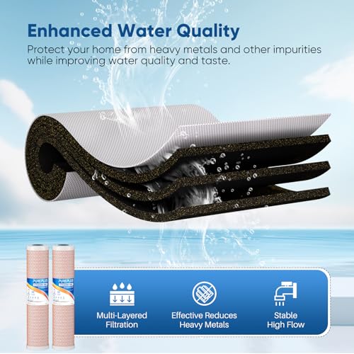 PUREPLUS 5 Micron 20x4.5 Inch Heavy Metals Removal Carbon & KDF Whole House Water Filter - Single Pack