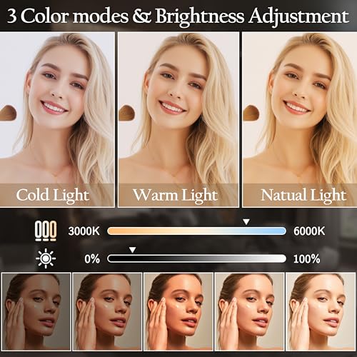 Lighted Makeup Vanity Mirror with 10X Magnification, Dimmable LED Lights, 15x12 Inch