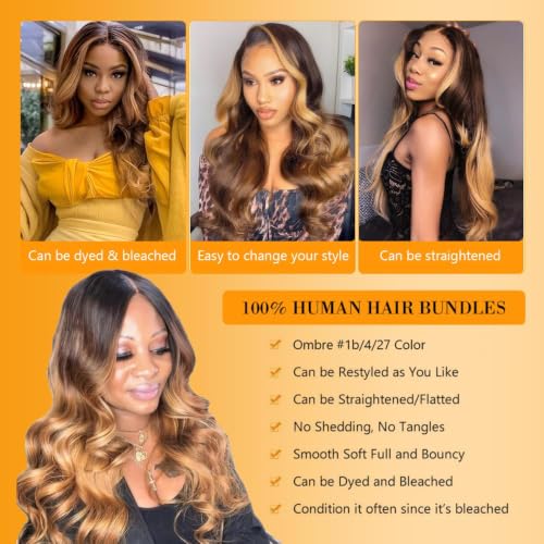 QTHAIR 18-inch Ombre Body Wave Lace Closure 4x4 Brazilian Virgin Hair T1B/4/27