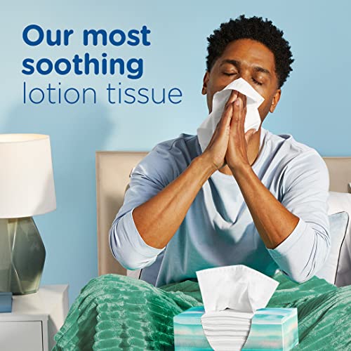 Puffs Plus Lotion Facial Tissue | Cube Box | 56 Tissues Per Box | Pack of 4