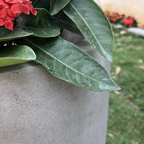 Large 18-Inch Round Concrete Planter - Weathered Finish for Indoor & Outdoor Use