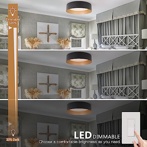 Flush Mount Ceiling Light 2-Pack - Matte Black with Gold Interior, 12.5 Inch