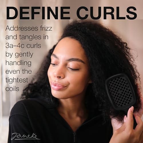 Vented Detangling Hair Brush for All Hair Types - Anti-Static, Heat-Resistant Styling Tool