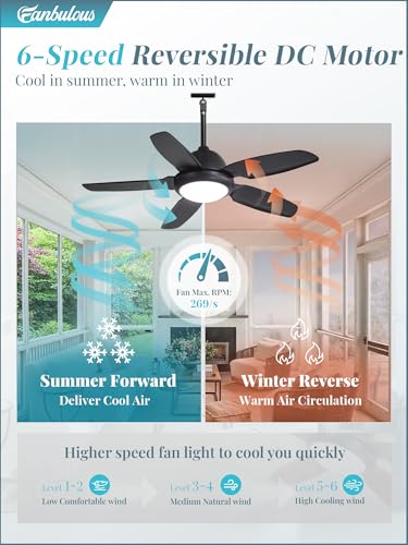Fanbulous 42 Inch Black Waterproof Outdoor Ceiling Fan with Light (IP65) for Patio
