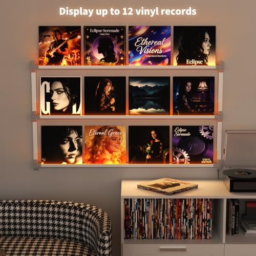 51-Inch LED Vinyl Record Wall Shelf with Light, Floating Aluminum Display Rack