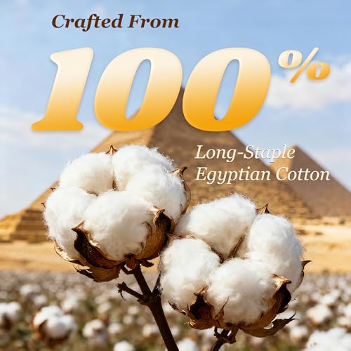 LBRO2M Queen Size Egyptian Cotton Bed Sheet Set 1000 TC Deep Pocket 16 inch