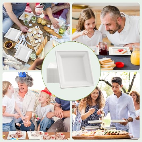 10 Inch Compostable Square Paper Plates - 300 Pack Heavy Duty Disposable Dinnerware