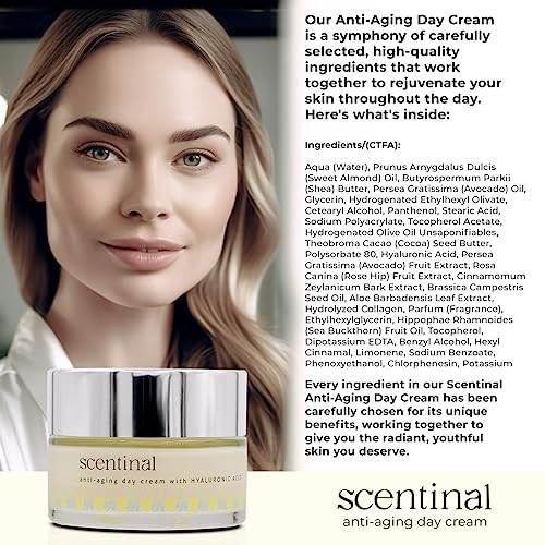 Secura Moisturizer Cream, 59431900, 3oz Tube (each)