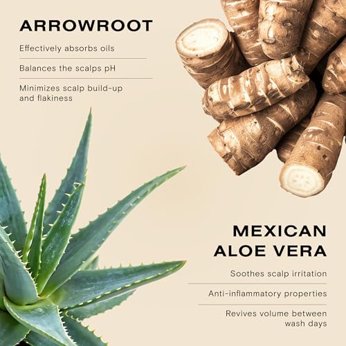 Ceremonia Dry Shampoo with Arrowroot Powder 0.35 oz – Oil Absorbing, Refreshing Hair Powder