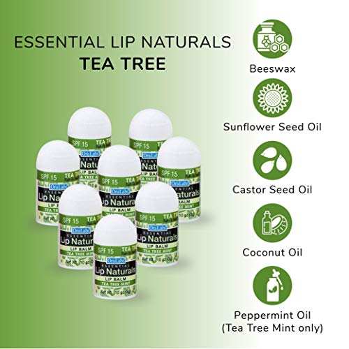 Mini Lip Balm Set SPF 15 with Natural Ingredients - 50 Count Assorted Flavors
