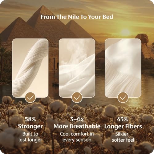 Bedsure 100% Giza Egyptian Cotton Duvet Cover King 104x90 – Gradient Brown Variation 09