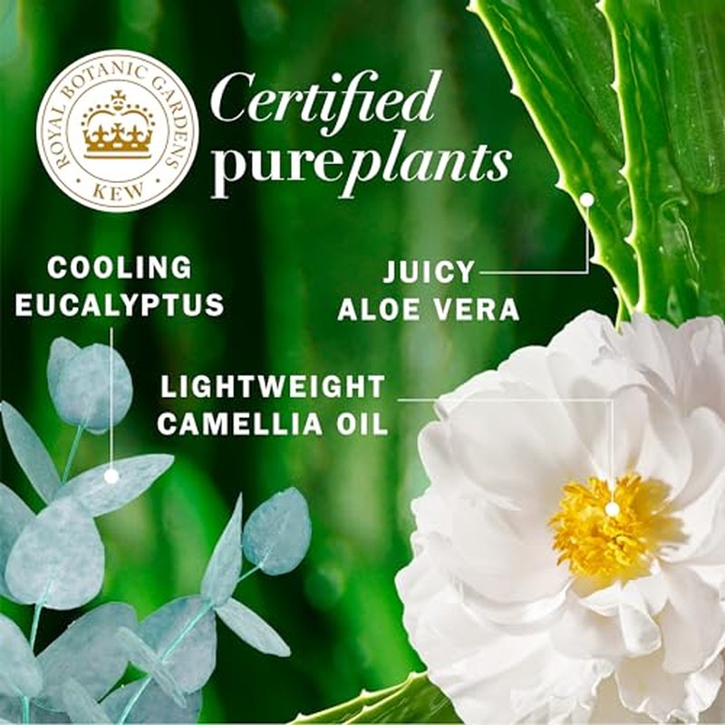 Herbal Essences Eucalyptus Sulfate Free Shampoo, Scalp Balance, 13.5 Fl Oz, with Certified Camellia Oil and Aloe Vera, For All Hair Types, Especially Dry Scalp